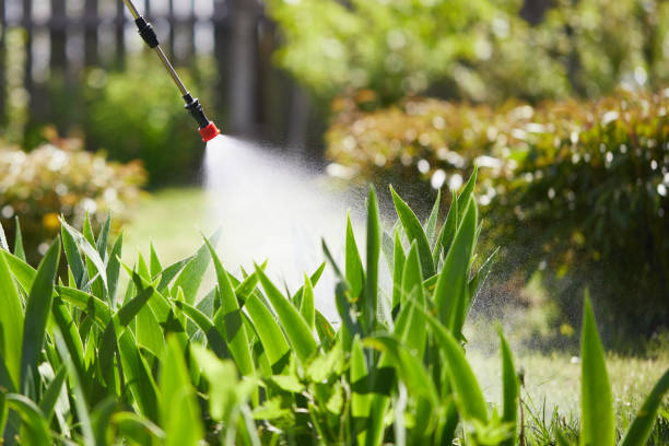 24/7 Emergency Mosquito Control experts in Stanfield, NC